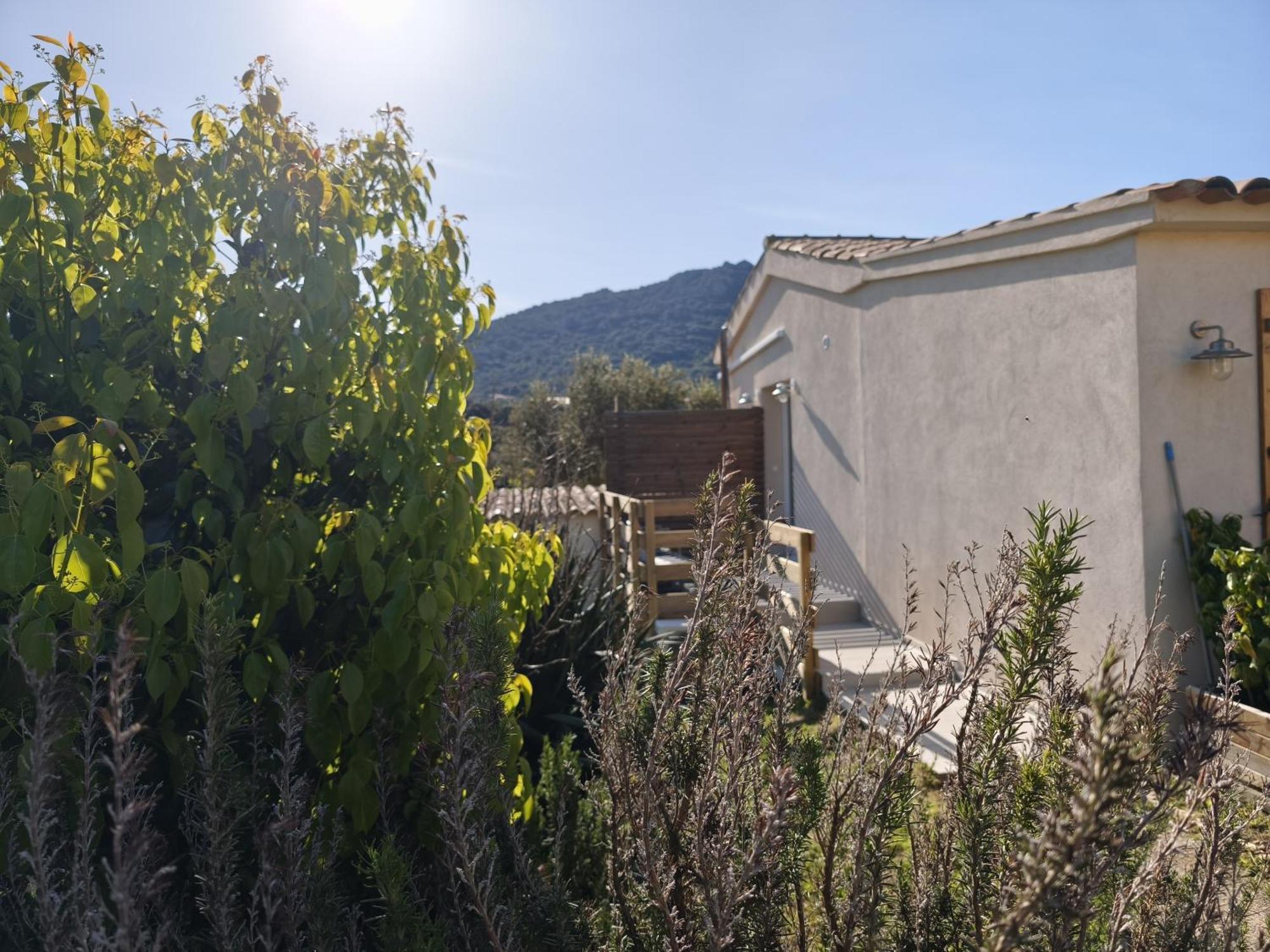 Chambres Isula Bella Figari  Δωμάτιο φωτογραφία